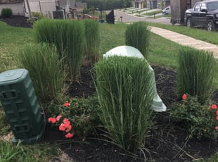 Bush Trimming by Ryan Black for Keith B. in Parkville, MO