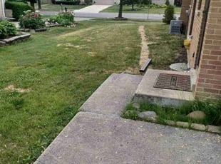 Cleanups by Jose Cueto for Demetrios V. in Schaumburg, IL