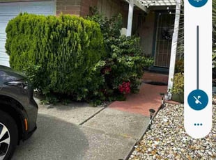 Bush Trimming by Jesus Rivera for Ruby G. in Bay Point, CA