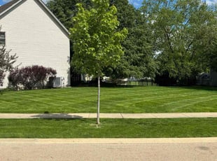 Emily H.'s Lawn Service service result