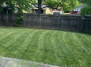 Allegra F.'s Lawn Care service result