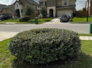 Bush Trimming by Joshua Benouis for Stacy L. in Pflugerville, TX