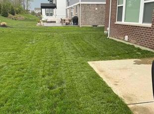 Joan R.'s Lawn Service service result
