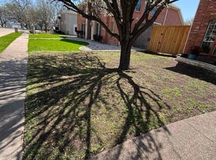 Aeration by Osmin Salvador for Terry B. in Rowlett, TX