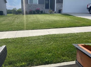 Yakaria B.'s Grass Cutting service result
