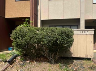 Bush Trimming by Donald Tucker for Marquise H. in Woodbridge, VA
