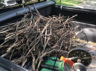 Cleanups by Jose Sanchez for Grant S. in St. Charles, IL