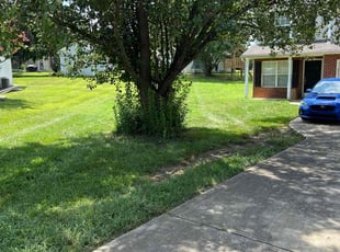 Gina H.'s Lawn Care service result