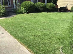 Derrick N.'s Yard Cutting service result
