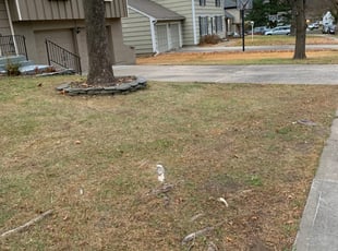 Leaf Removal by Ben Williams for Kathryn F. in Overland Park, KS