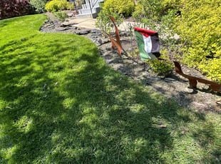 Weeding by Fidel Rodriguez for William H. in Alexandria, VA