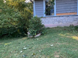 Bush Trimming by Luke Frederick for Michele C. in O'Fallon, MO