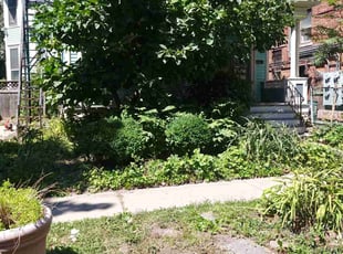 Cleanups by Devon Eagles for Diana L. in Buffalo, NY