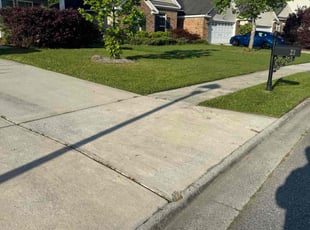 Daniel C.'s Grass Cutting service result