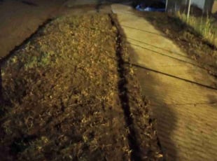 Leaf Removal by Rolf Johnson for Tyler c. in Minneapolis, MN