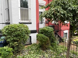 Bush Trimming by Caree Keith for Bridget M. in Washington, DC