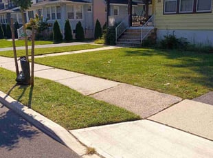 Don H.'s Lawn Mowing Service service result