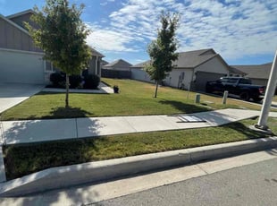 Buddy D.'s Lawn Maintenance service result