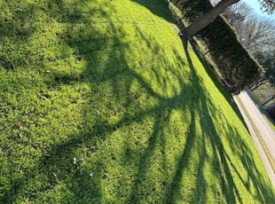 Rachel T.'s Grass Cutting service result