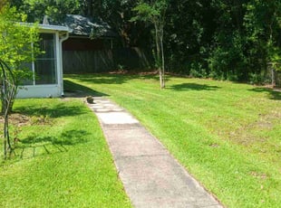 Pat T.'s Lawn Service service result