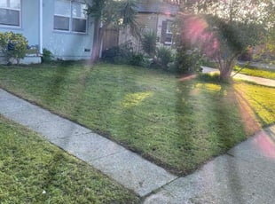 Rita B.'s Lawn Care service result