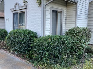 Bush Trimming by Bryan Oren for Cassaundra B. in Chesapeake, VA