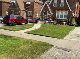 Michelle N H.'s Yard Cutting service result