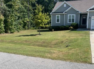 Elizabeth P.'s Lawn Mowing service result