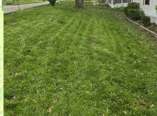 Bush Trimming by Thomas Koval for Melissa M. in Fenton, MO