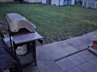 Mary V.'s Yard Cutting service result
