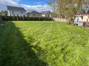 Cameron A.'s Lawn Service service result