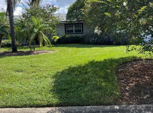 Bruce H.'s Lawn Service service result
