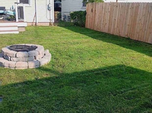 Vonetta W.'s Lawn Service service result