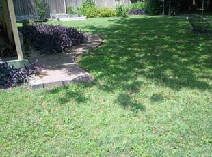 Alessio P.'s Grass Cutting service result