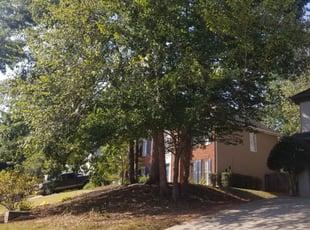 Leaf Removal by Christina Thomas for Blake J. in Alpharetta, GA