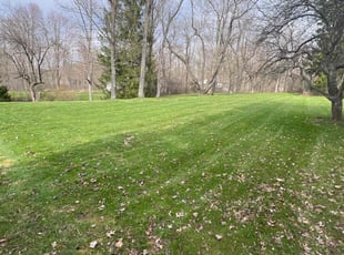 Aaron C.'s Lawn Mowing service result