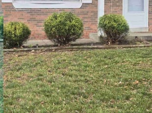 Bush Trimming by Zachary Krenik for Stacie L. in Upper Marlboro, MD