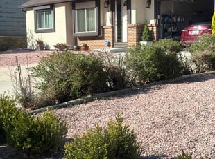 Leaf Removal by Nick Steidl for Marianne H. in Colorado Springs, CO