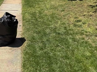 Leaf Removal by Jerry Fleet for Sharronn J. in Baltimore, MD