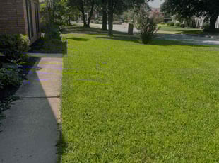 Ellie K.'s Lawn Mowing service result