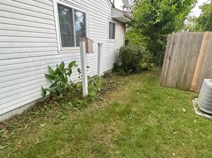 Bush Trimming by Leonard Smithers for Anthony H. in Columbus, OH