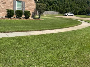 Jamesd F.'s Yard Cutting service result