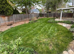 Caroline G.'s Lawn Maintenance service result