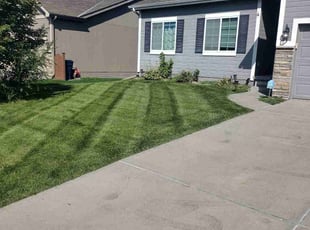 Diane B.'s Lawn Care service result