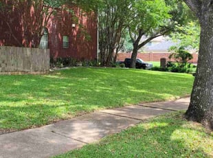 Brenda S.'s Lawn Mowing Service service result