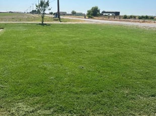 Warren W.'s Lawn Service service result
