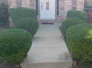 Bush Trimming by Jason George for Sara K. in Fort Worth, TX