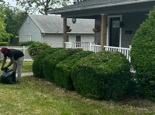 Bush Trimming by Michael Snock for Chris B. in Broomall, PA