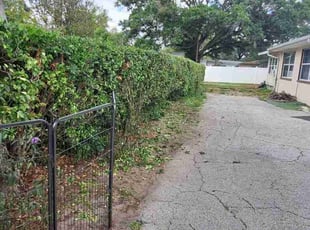 Bush Trimming by Coty Thomas for Chris C. in Zephyrhills, FL