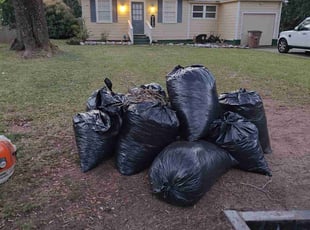 Cleanups by Brandon Knight for Ben B. in Mobile, AL